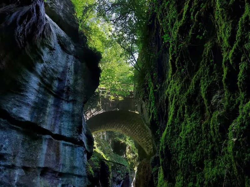 French Alps Day Tour from Geneva to Annecy and Hidden Gems - Who Is This Tour Best For?