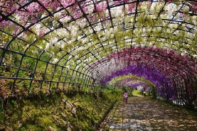 French Dining at Matsumoto Residence and Kawachi Wisteria YokaBus - Meeting and Drop-off Locations