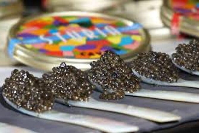 "FRENCH EXCELLENCE" : Fine Wines & Delicacies pairing Workshop - Key Points / Takeaways