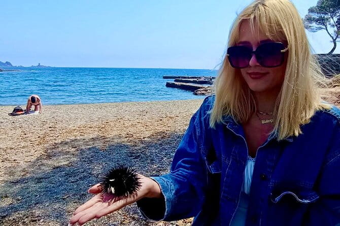 French Riviera Colorado & Var West by Train (from Cannes/Nice) - The Sum Up