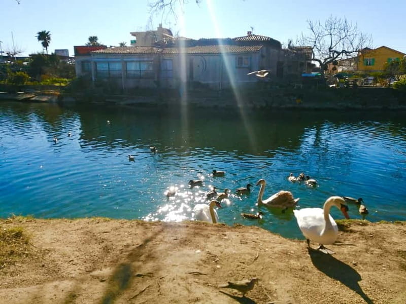 French Riviera's Jewels - E-Bike Tour Antibes - Saint-Paul - Discovering Antibes and the Côte d’Azur by E-Bike