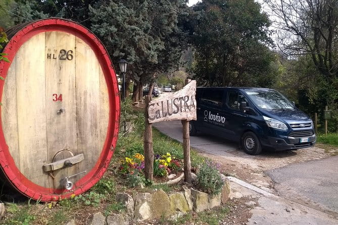 From Abano Montegrotto, Wine Tour in the Euganean Hills - Key Points / Takeaways
