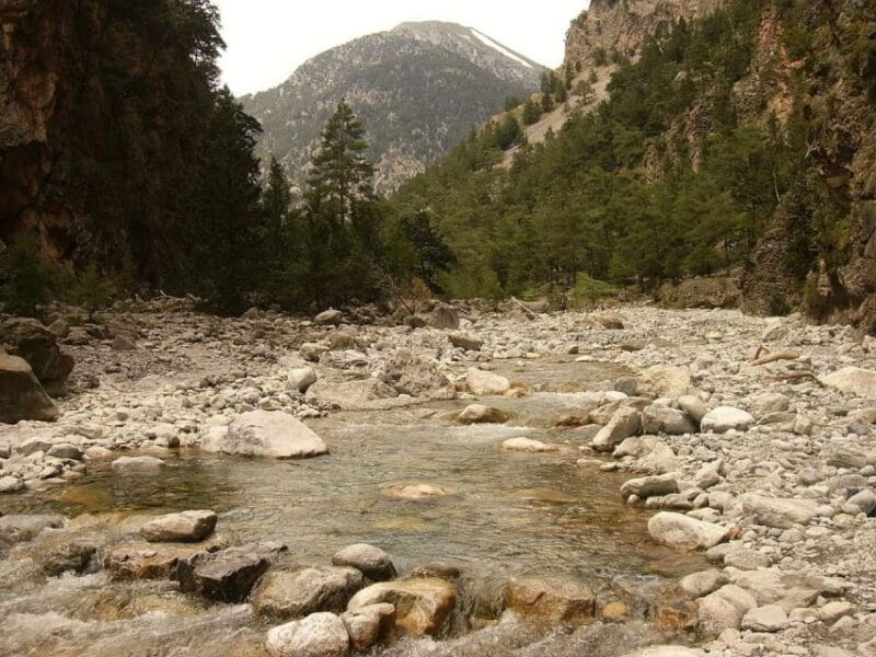 From Agia Galini/Matala: Samaria Gorge Hiking Tour - An In-Depth Look at the Samaria Gorge Tour Experience