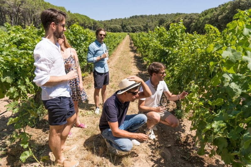 From Aix en Provence: Bandol & Cassis Full-day Wine Tour - A Full Day Exploring Provence’s Wine and Villages