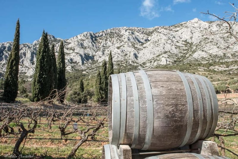 From Aix-en-Provence : Half-day Sidecar Wine Tour - FAQ