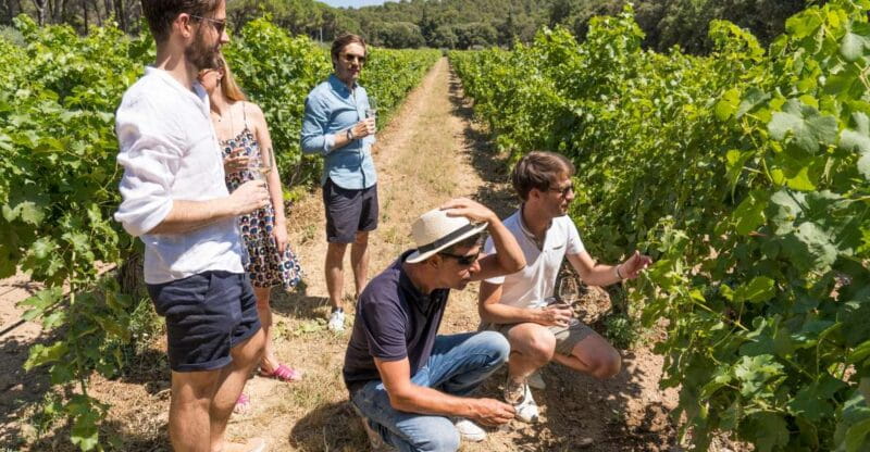 From Aix-en-Provence: Half-day Wine Tour Cezanne Countryside - Key points / Takeaways