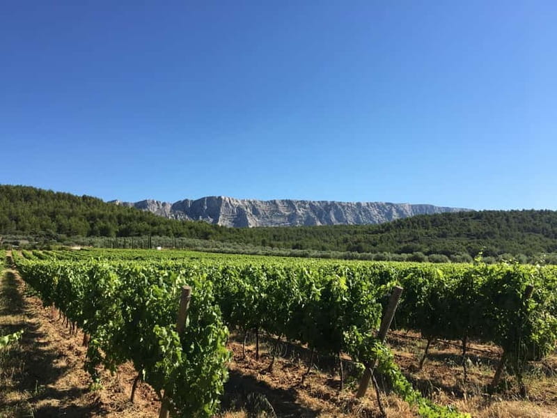 From Aix en Provence: Half-day Wine Tour in Provence - Entering Provence’s Vineyard World