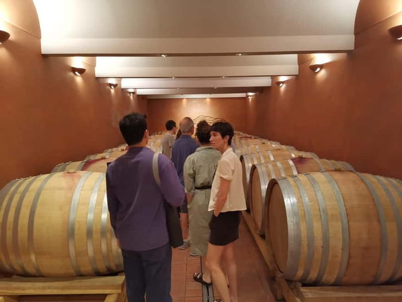 From Aix en Provence: Half-day Wine Tour in Provence - The Scenic Beauty of Sainte-Victoire Mountain