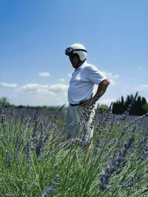 From Aix-en-Provence : Lavender & Wine Sidecar Tour - A Unique Spin on Provence: Lavender & Wine Sidecar Tour