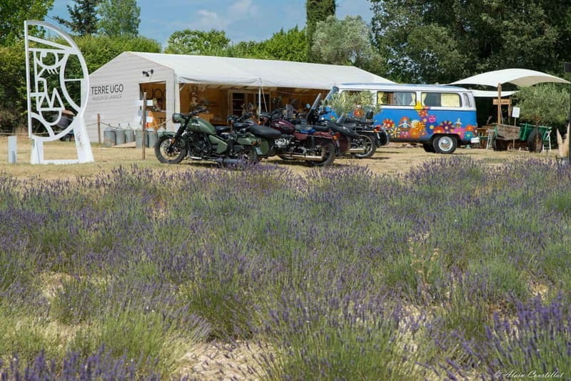 From Aix-en-Provence : Lavender & Wine Sidecar Tour - Final Thoughts: An Enchanting Way to See Provence