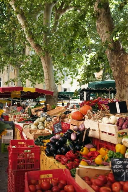 From Aix-en-Provence: Luberon Market & Olive Oil Mill - A Closer Look at the Experience