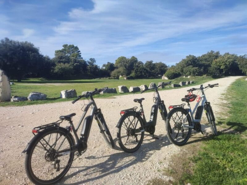 From Aix-en-Provence: Luberon Region E-Bike Full-Day tour - Final Thoughts