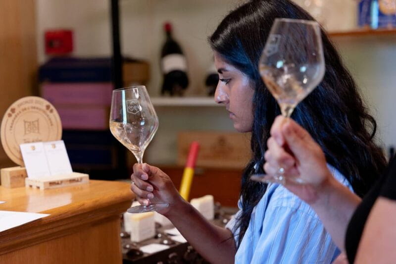 From Aix-en-Provence: Provence Region Tour with Wine Tasting - Price and Logistics: Good Value for a Full Day