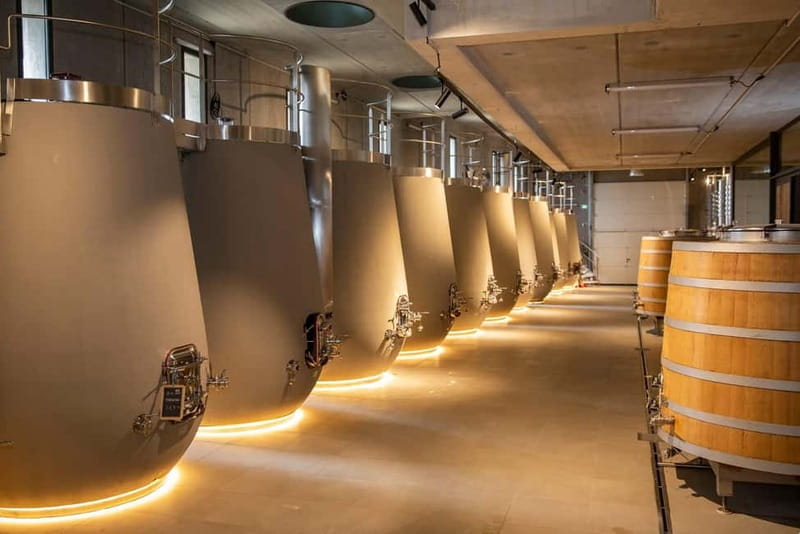 From Aix-en-Provence : Wine, Olive Oil and Scenic Villages - Olive Oil Mill: A Taste of Authentic Provence