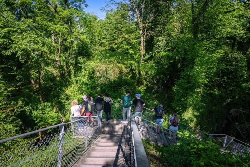 From Aix-les-Bains: Gorges du Sierroz and Mont Revard summit - Who Will Love This Tour?