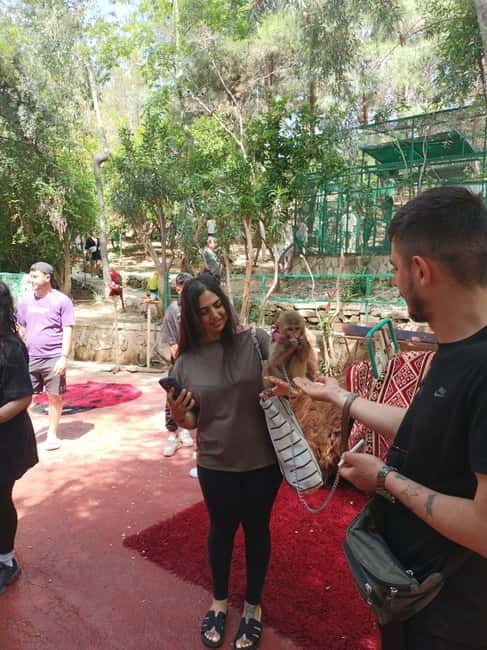 From Alanya: Lion Safari & Green Canyon Splash Feast w/Lunch - Entering the Day: From Manavgat to Adventure