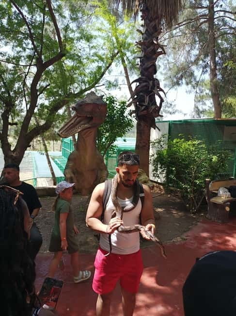 From Alanya: Lion Safari & Green Canyon Splash Feast w/Lunch - Logistics and Value for Money