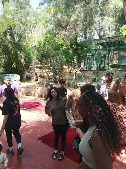 From Alanya: Lion Safari & Green Canyon Splash Feast w/Lunch - The Sum Up: Is It Worth It?