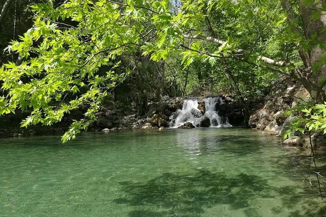 From Alanya & Side: Sapadere Canyon Tour - Price and Logistics: What You Need to Know