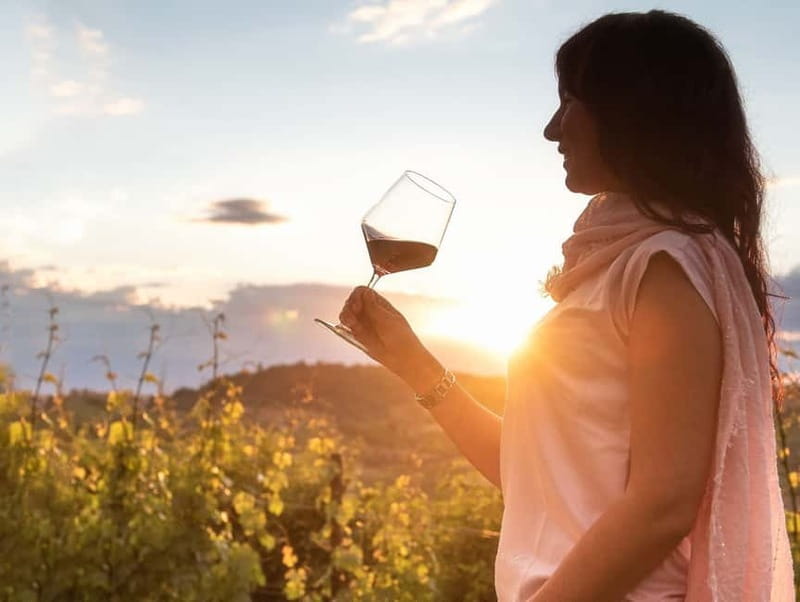 From Alba: Barolo & Barbaresco Wine Tasting Tour - Entering the World of Piedmont Wine: What You Can Expect