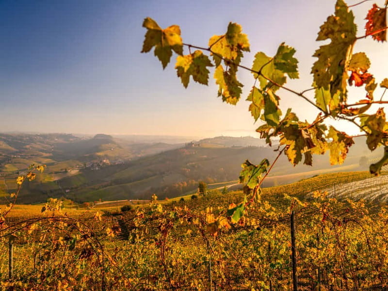 From Alba: Barolo & Barbaresco Wine Tasting Tour - Who Will Love This Tour?