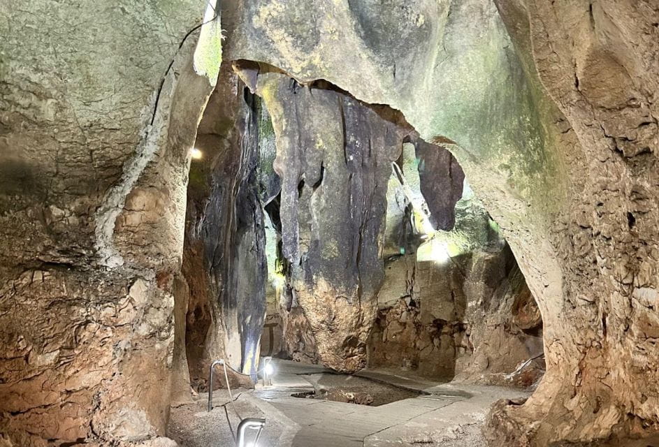 From Albir, Altea, Benidorm & Calpe: Coast & Caves Excursion - Things To Know