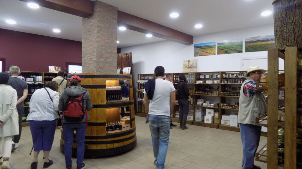 From Albir, Altea, Benidorm & Calpe: Jalón Valley Excursion - Key Points