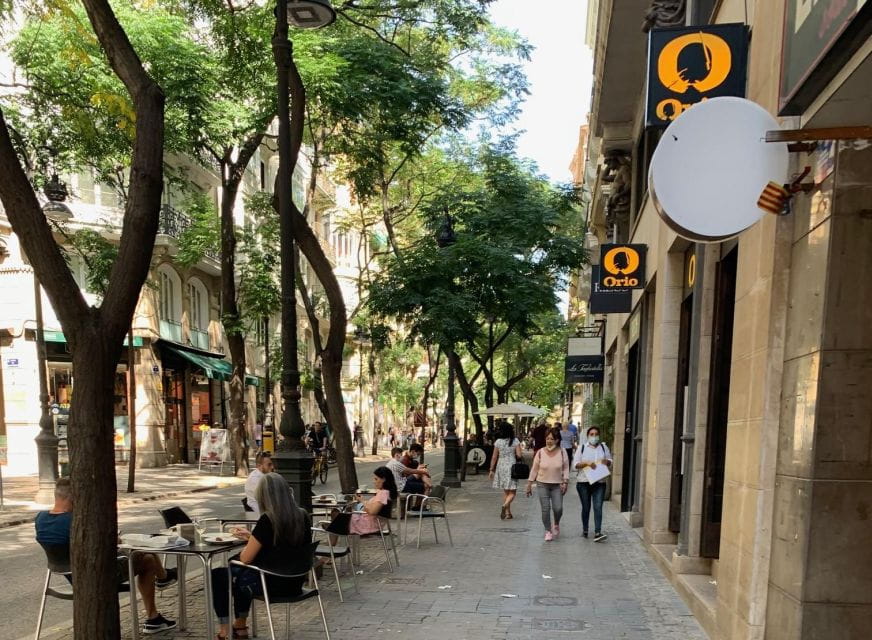 From Albir, Altea, Benidorm & Calpe: Valencia City Excursion - Essential Packing Tips