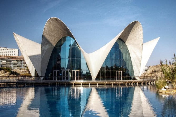 From Albir, Altea, Benidorm & Calpe: Valencia City Excursion - Accessibility Information