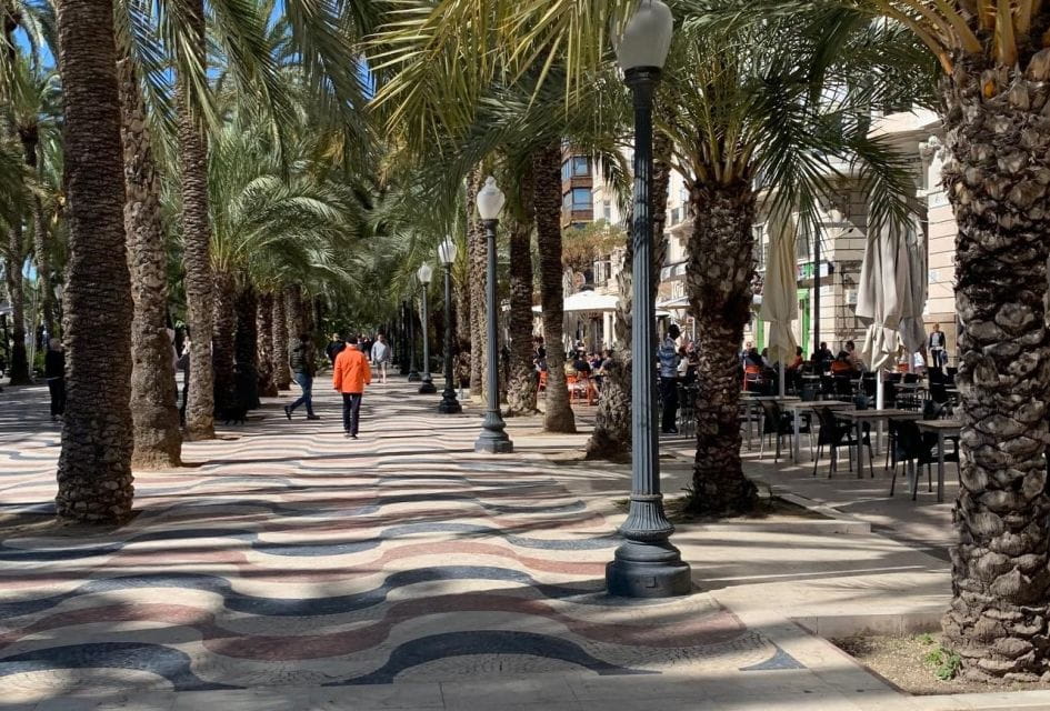 From Albir and Benidorm: Day Trip to Alicante by Coach - Important Information