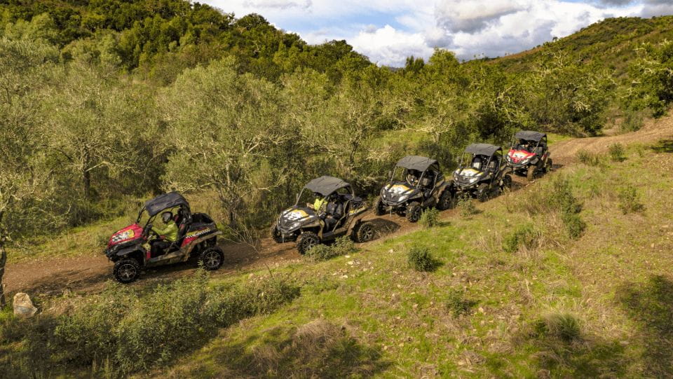 From Albufeira: Half-Day Buggy Adventure Tour - Adrenaline-Filled Experience