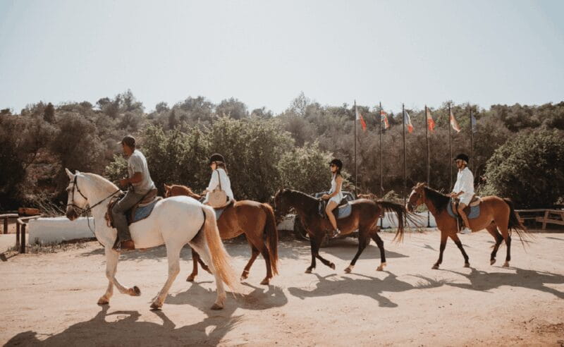 From Albufeira: Horse Riding Tour with Pickup - Key Points / Takeaways