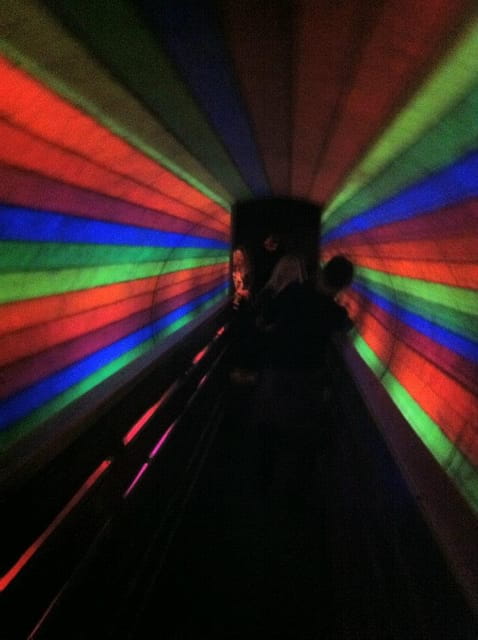 From Alcudia: Day Trip to Katmandu Adventure Park - Key Points