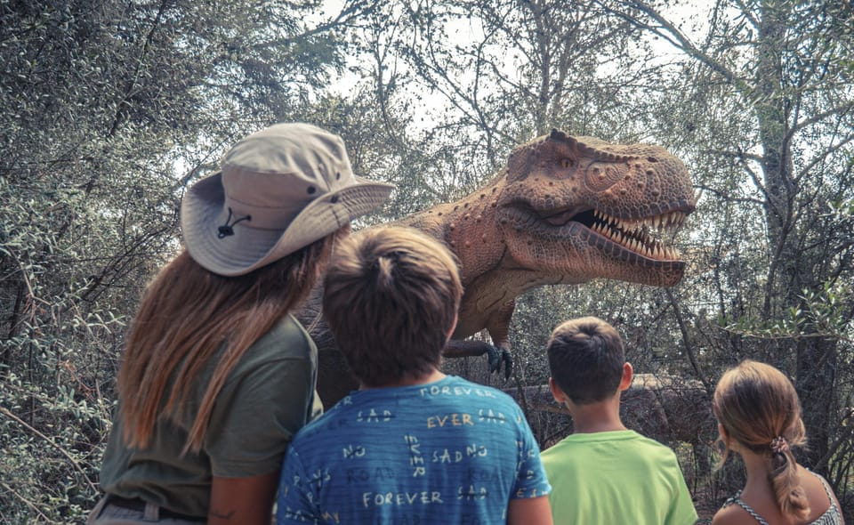 From Alcúdia: Dinosaurland and Hams Caves Half-Day Trip - Customer Feedback and Ratings