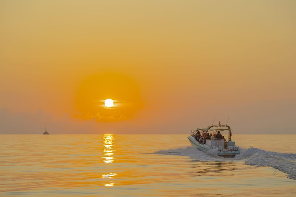 From Alcudia: Sunrise Dolphin Watching Boat Tour - Participant Information