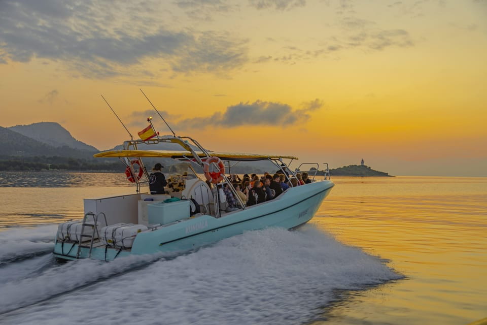 From Alcudia: Sunrise Dolphin Watching Boat Tour - Conservation and Sustainability