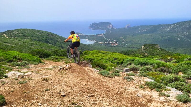 From Alghero: Le Prigionette Oasis Guided E-Bike Tour - Price and Logistics: Good Value for the Experience