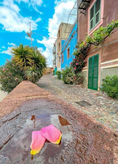 From Alghero: Market day in Bosa - Who Will Appreciate This Tour?