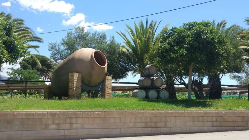 From Alicante and Elche: Guided tour for vineyard and winery with tasting - Key points / Takeaways