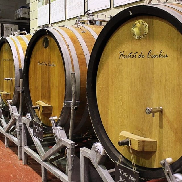 From Alicante and Elche: Guided tour for vineyard and winery with tasting - Ease of Transport and Group Size