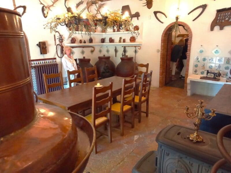 From Alicante and Elche: Guided tour for vineyard and winery with tasting - Is This Tour Right for You?