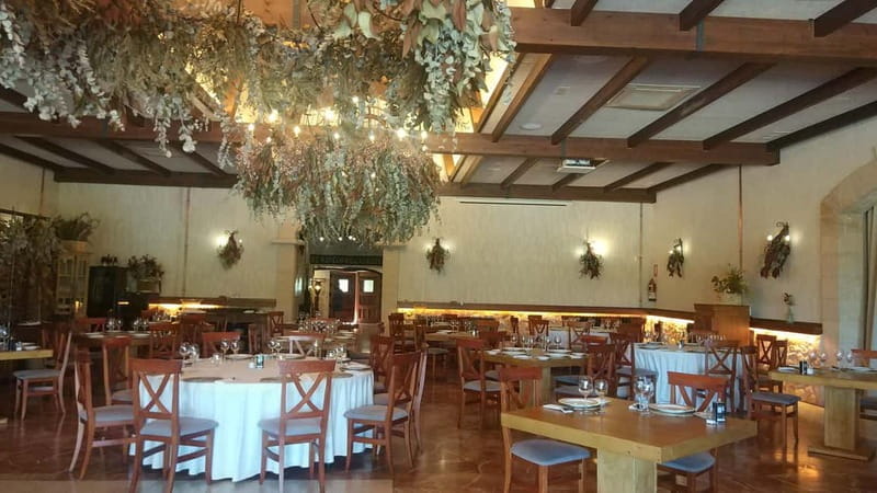 From Alicante and Elche: Guided tour for vineyard and winery with tasting - Final Thoughts: Who Will Love This Tour?