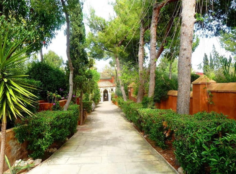 From Alicante and Elche: Tea house + sweets. Taste the flavor of the Orient. - Entering a World of Tradition: The Tour Itinerary