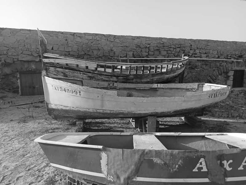 From Alicante and Torrevieja: Excursion to Tabarca, Santa Pola and Laguna Rosa - Key Points / Takeaways