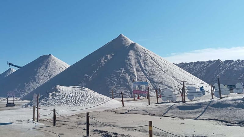 From Alicante and Torrevieja: Excursion to Tabarca, Santa Pola and Laguna Rosa - Visiting the Salt Flats and Pink Lagoon in Torrevieja