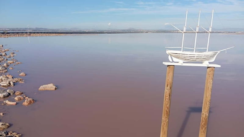 From Alicante and Torrevieja: Excursion to Tabarca, Santa Pola and Laguna Rosa - Who Is This Tour Best For?