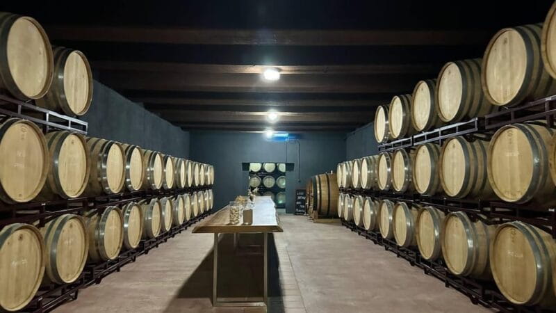 From Alicante ,Benidorm: Winery Tour and Wine Tasting - A Sip of Spain: Exploring a Major Alicante Winery