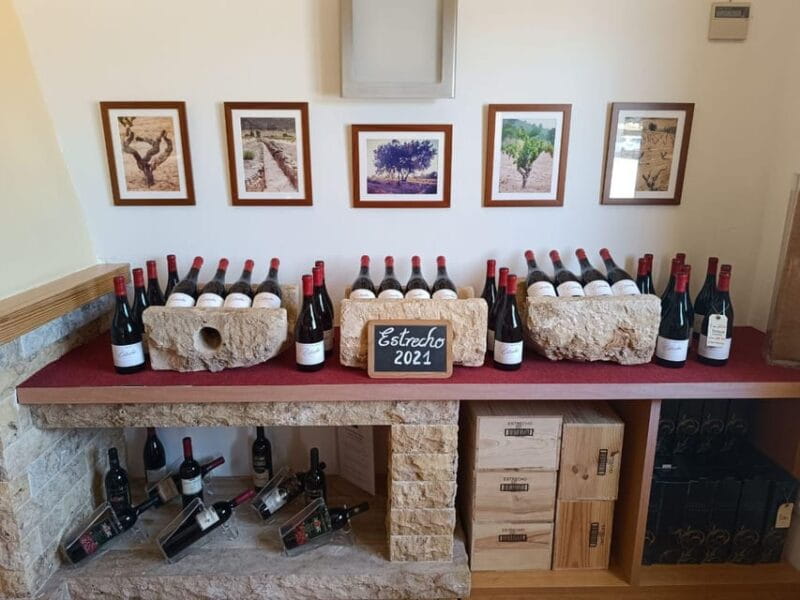 From Alicante ,Benidorm: Winery Tour and Wine Tasting - Inside the Production Rooms: A Closer Look