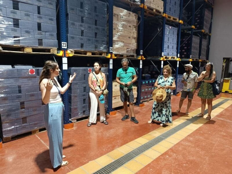 From Alicante ,Benidorm: Winery Tour and Wine Tasting - The Wine Tasting: A Flavorful Journey