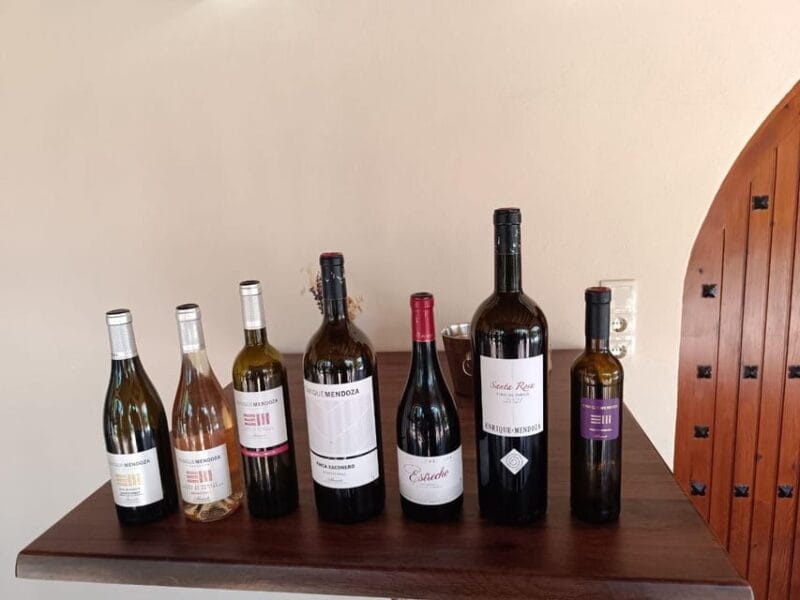 From Alicante ,Benidorm: Winery Tour and Wine Tasting - Logistics and Practical Details